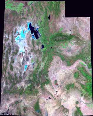 MODIS false color JPEG